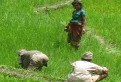 Empowerment of women