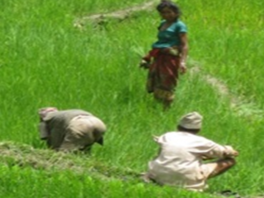 Empowerment of women